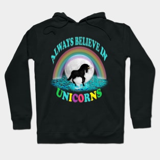 Always Believe in Unicorns Hoodie